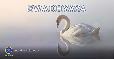 Swadhyaya